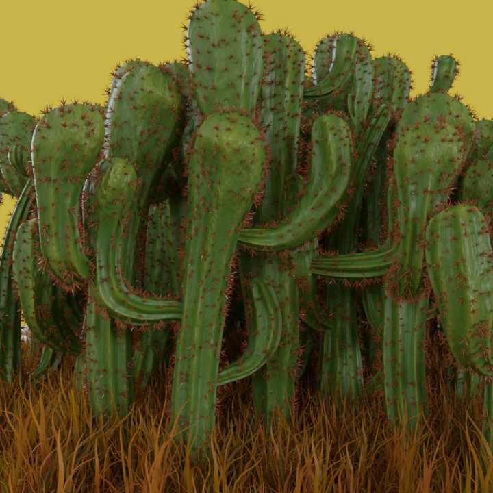 Cactus Stylized preview image 2